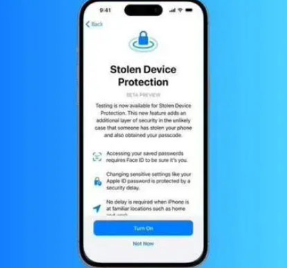 嫩江苹果授权维修店分享被盗设备保护功能开启方法 