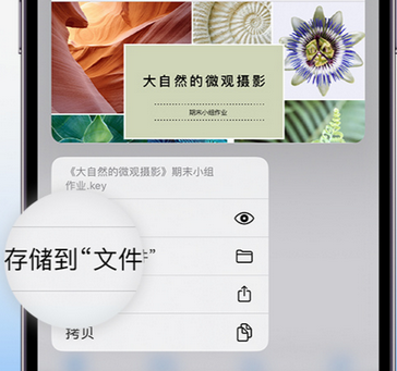 嫩江apple维修中心分享iPhone文件应用中存储和找到下载文件