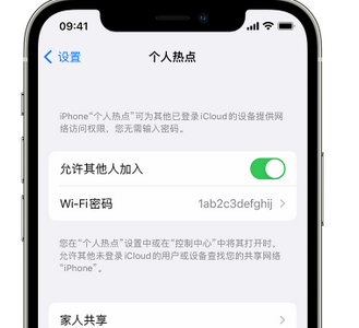 嫩江apple服务站点分享iPhone上个人热点丢失了怎么办