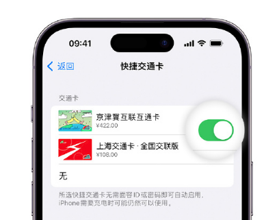 嫩江apple维修点分享iPhone上更换Apple Pay快捷交通卡手绘卡面 