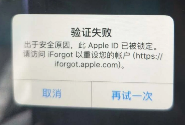 嫩江iPhone维修分享iPhone上正常登录或使用AppleID怎么办 