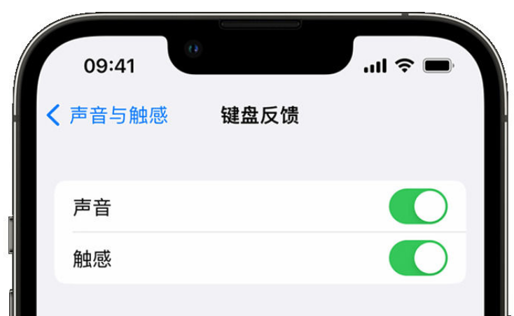 嫩江苹果手机维修分享iPhone 14触感键盘使用方法 