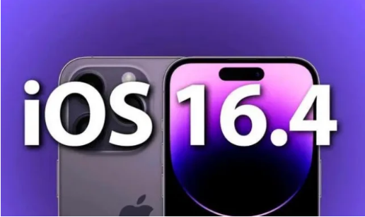 嫩江苹果14维修分享：iPhone14可以升级iOS16.4beta2吗？ 