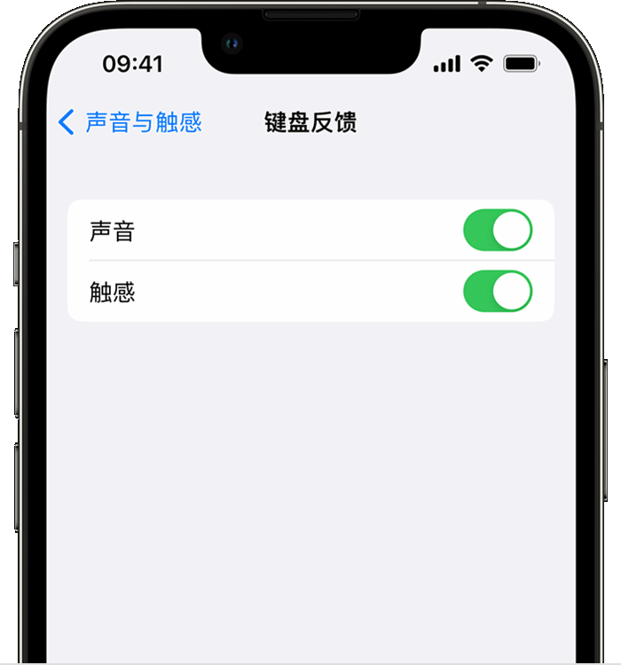 嫩江苹果14维修店分享如何在 iPhone 14 机型中使用触感键盘 