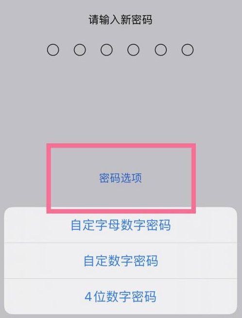 嫩江苹果14维修分享iPhone 14plus设置密码的方法 