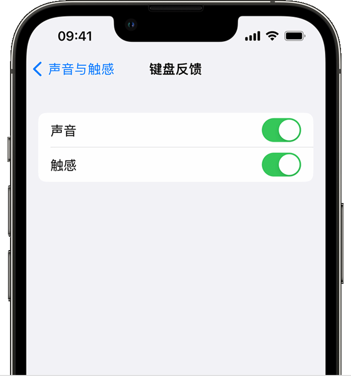 嫩江苹果14维修分享iPhone 14 系列机型如何开启键盘声音或触感反馈 
