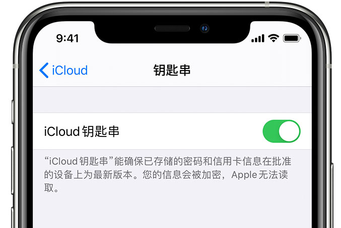 嫩江苹果手机维修分享在 iPhone 上开启 iCloud 钥匙串之后会储存哪些信息 