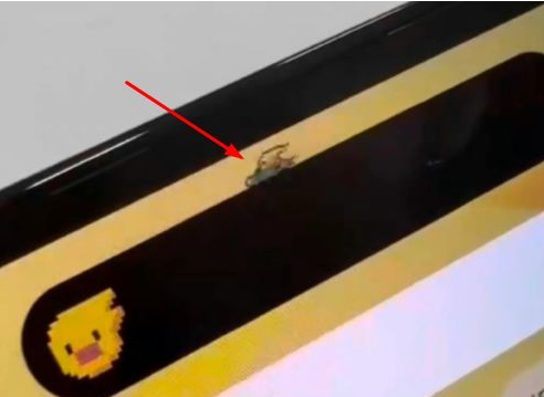 嫩江苹果14维修分享iPhone 14 Pro Max灵动岛怎么养宠物 