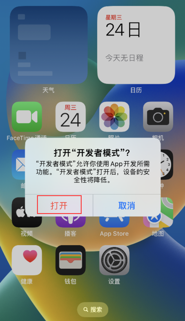 嫩江苹果手机维修分享如何打开开发者模式 
