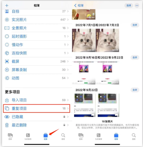 嫩江苹果手机维修分享iOS 16 中相册重复项目功能使用方法 