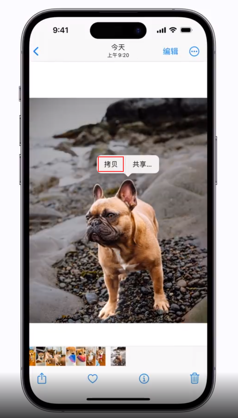 嫩江苹果手机维修分享 iOS 16 自带一键抠图功能 