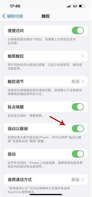 嫩江苹果手机维修分享iPhone手机如何设置摇一摇删除文字 