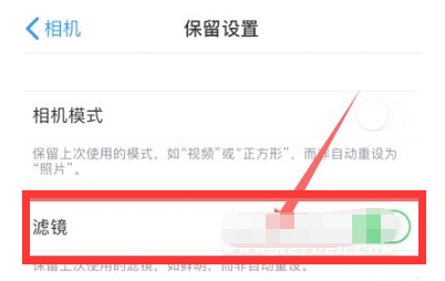 嫩江苹果13维修分享iPhone13拍照有绿点是怎么回事 