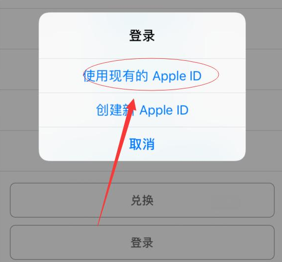 嫩江苹果手机维修分享两台iPhone设备可以同时登录一个Apple ID吗 