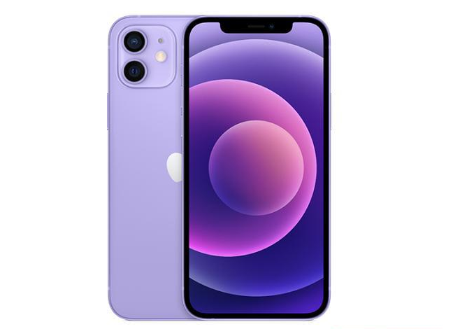 嫩江苹果手机维修分享现阶段要不要入手紫色版iPhone12 